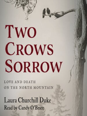 cover image of Two Crows Sorrow